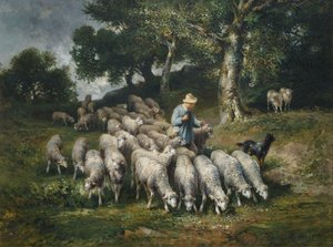 Sheep Herd in Hilly Landscape